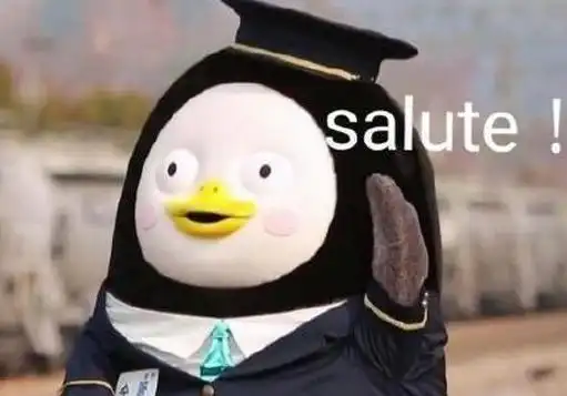 salute是什么意思优质