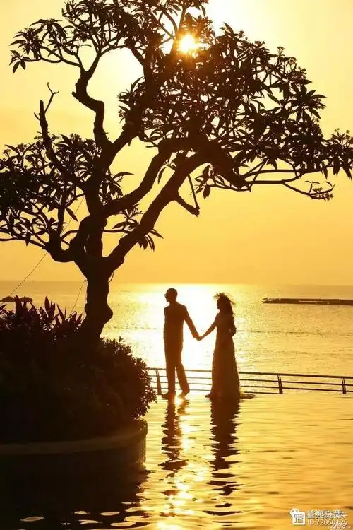 我愿陪你慢慢变老作者曹秀萍朗诵朱思聪