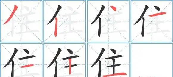 《主》字笔画,笔顺汉字 主 (字典,组词)读音 zhù播放 zhǔ播放部首