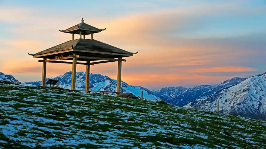 初夏的新疆伊犁