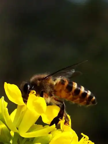 富士sl1000试机照