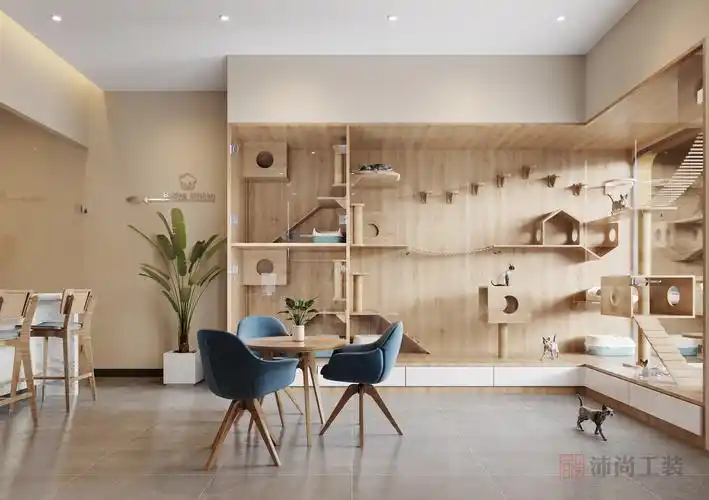 爪爪宠物店装修 - 商铺店面装修 - 深圳市沛尚装饰设计工程有限公司