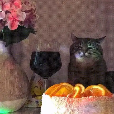 求红酒杯猫咪的原图