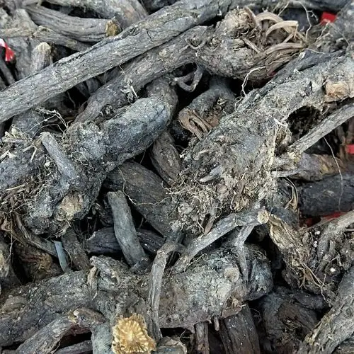 地榆 野生地榆 甘肃武都野生地榆 量大从优