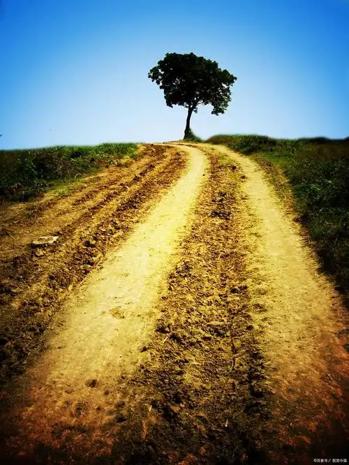 来欣赏林志洪原创诗歌作品《人生路》写给未来的一封信