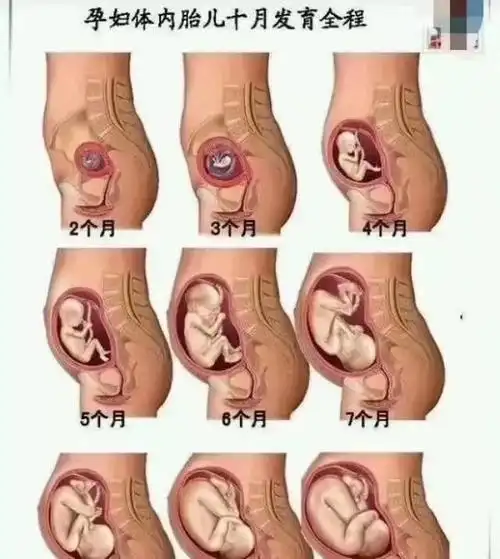 阵发性下腹痛或腰痛,检查宫口未开,胎膜完整,无妊娠物排出,子宫大小与