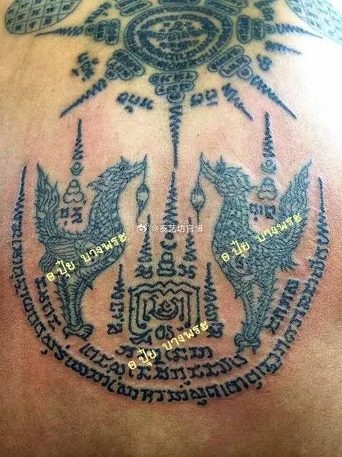 【人缘鸟】助人缘,增魅力,增亲和力,说话悦耳,成为人见人爱的人,带来