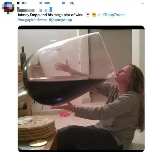 杰克船长家暴案庭审现场一部搞笑狗粪剧