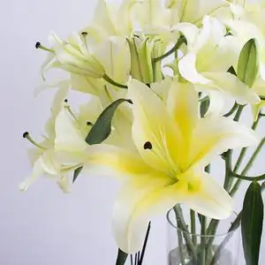 2222黄天霸黄百合花鲜花云南o直发水养家用香水百x合带花苞发货a.