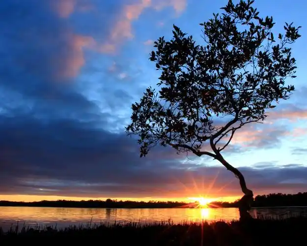 在河边美丽的黄昏景色,日落,树,天空,云 iphone 壁纸