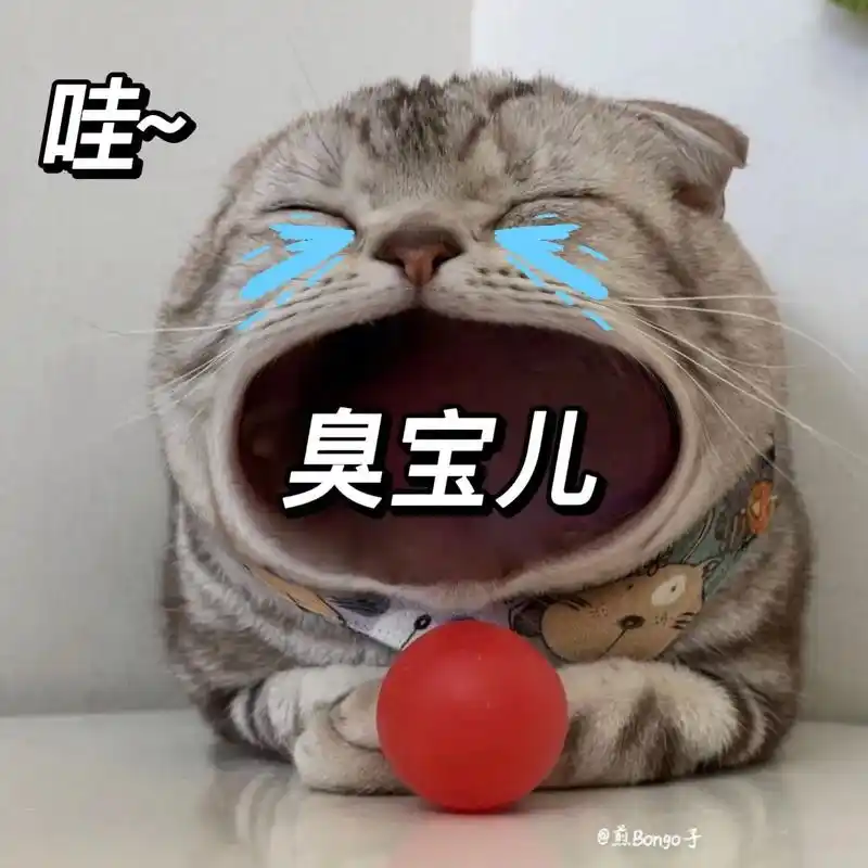 告诉你家臭宝儿,好苦啊!#发给对象表情包 #套路表情包 #艾 - 抖音