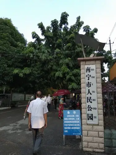 三姐妹逛南宁市人民公园留影