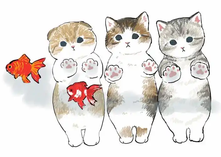 猫咪- 堆糖,美图壁纸兴趣社区