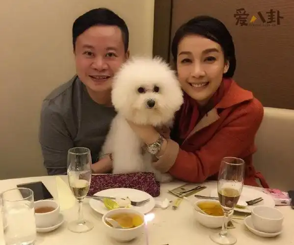 江美仪老公吴君祥资料江美仪结束十一年感情回归单身