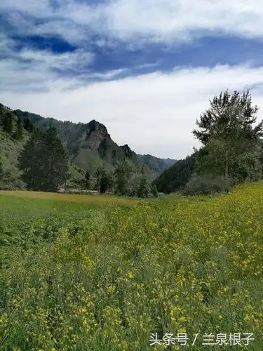 兰州竹林沟您知道吗是个自然保护区