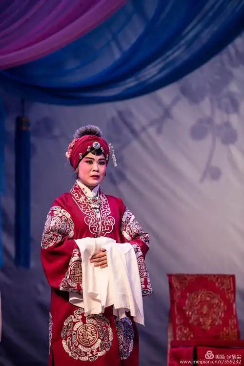 豫剧《花打朝》全场剧照