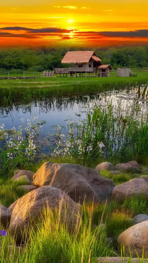 田园生活#舒适安逸,远离喧嚣,空气清新的田园生活,你喜欢吗?