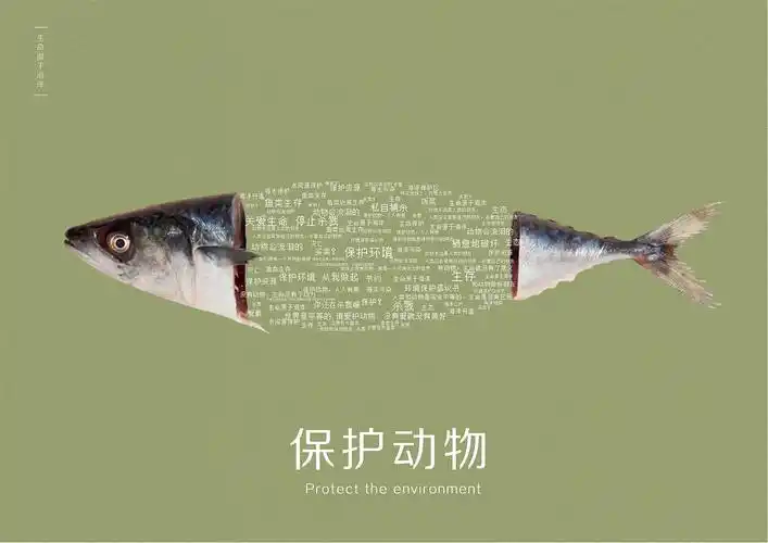 《公益海报》——保护动物