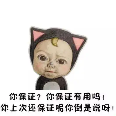 你保证你保证有用吗你上次还保证呢你倒是说呀sadayuki表情包sandyuki