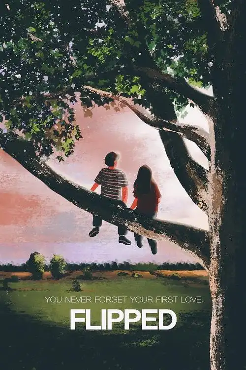 电影海报《怦然心动》