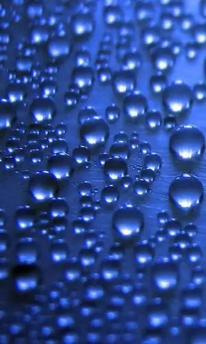 诺基亚800手机壁纸晶莹透彻的水滴意境壁纸