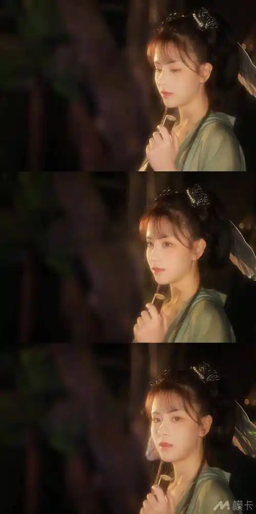 侍神令八彩写真