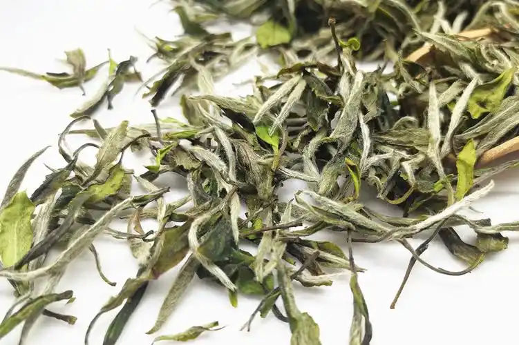 2020福鼎白茶磻溪原产地高山明前日晒春茶一级白牡丹散茶茶叶批发