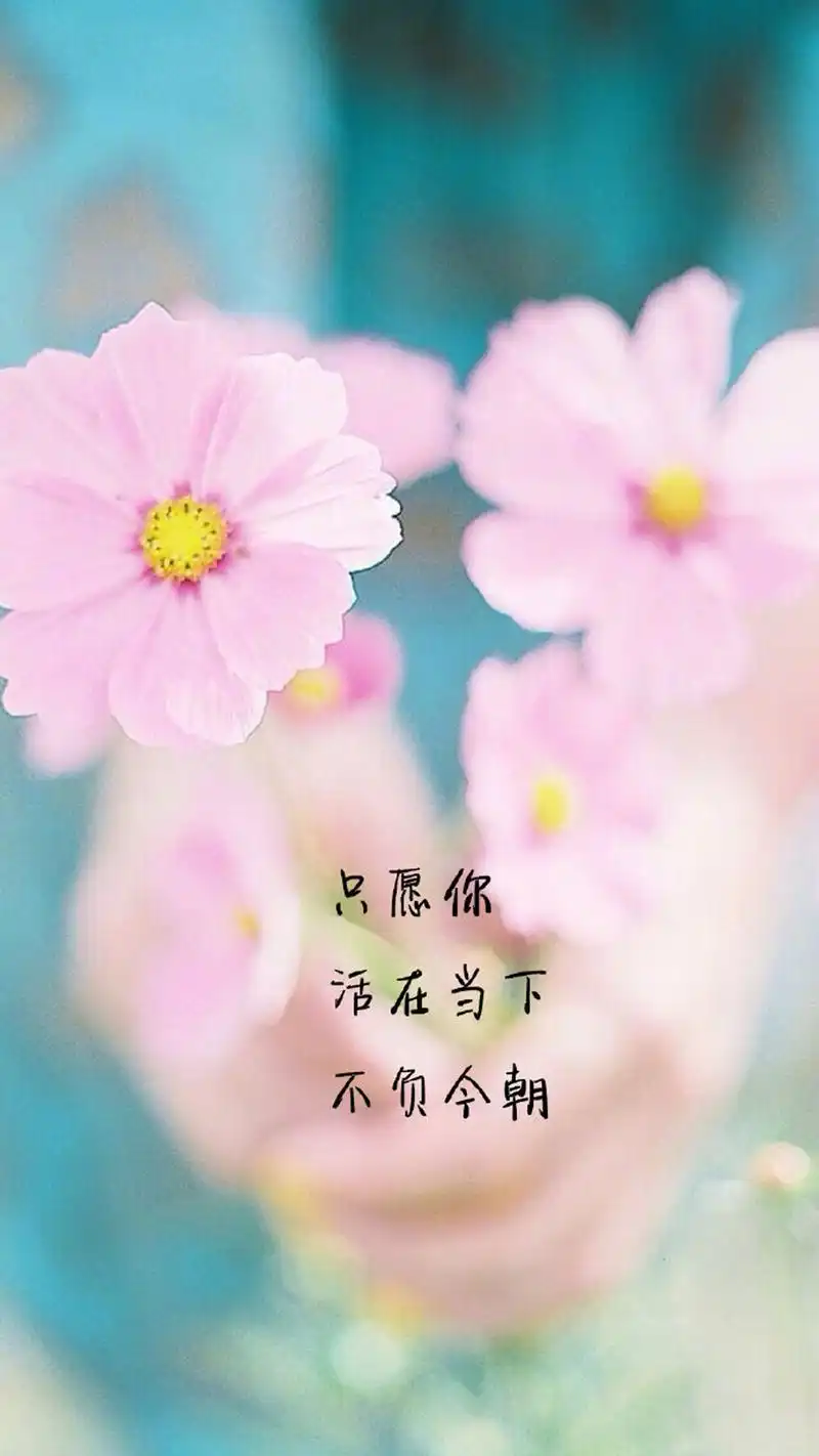 唯美情感语录图片手机壁纸,创意,爱情,唯美,创意,文字,高清,手机壁纸