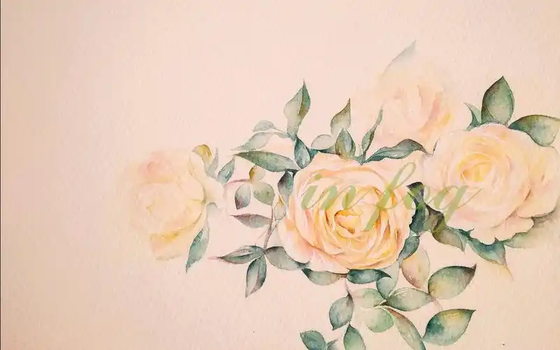 水彩山茶花简单小清新的花花是如何画出来的