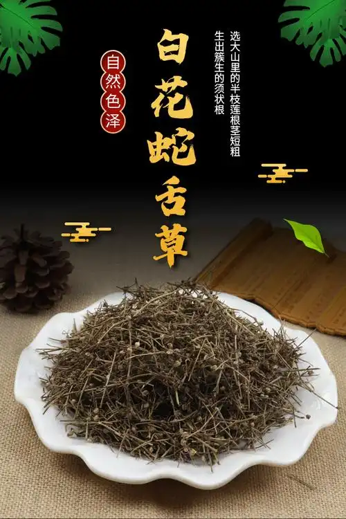 百花蛇舌草的功效(百花蛇舌草的功效与作用及禁忌)