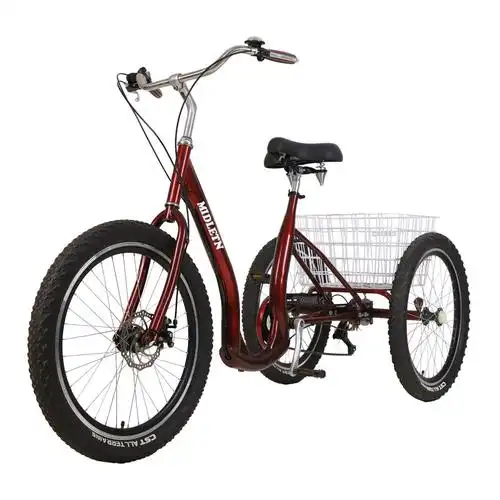 欧式人力三轮车成人老人变速脚踏代步休闲买菜碟刹三轮车雪地