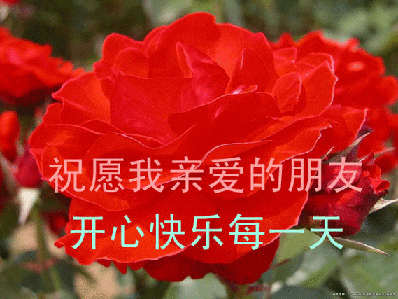 2011骏疆行 纵队平安帖