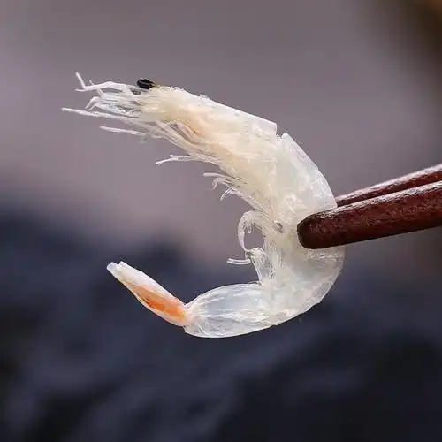 赛卡伊淡干大虾皮虾皮粉即食海米虾米皮海产品批发