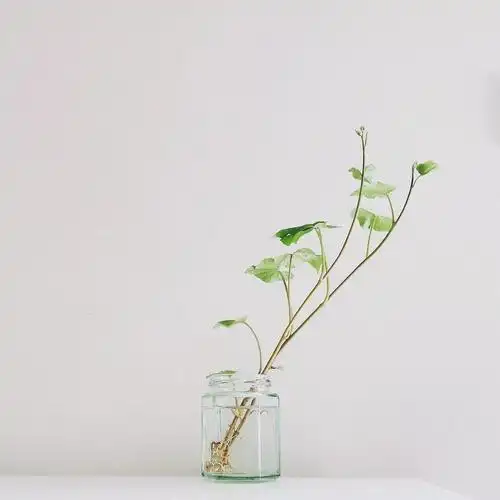 背景| 微信朋友圈背景图