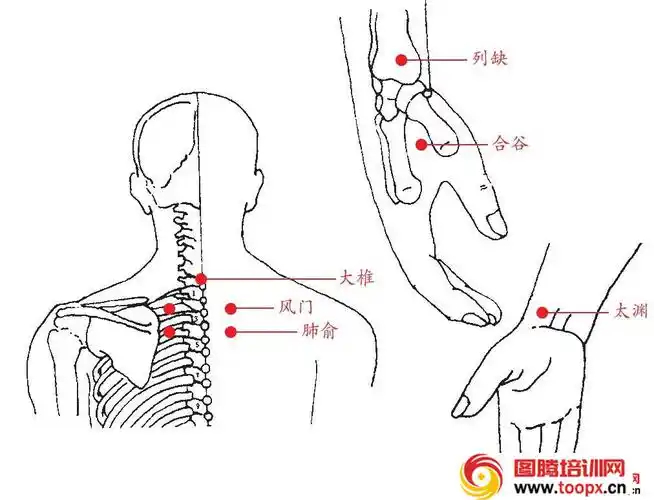 风寒咳嗽的艾灸方法和穴位