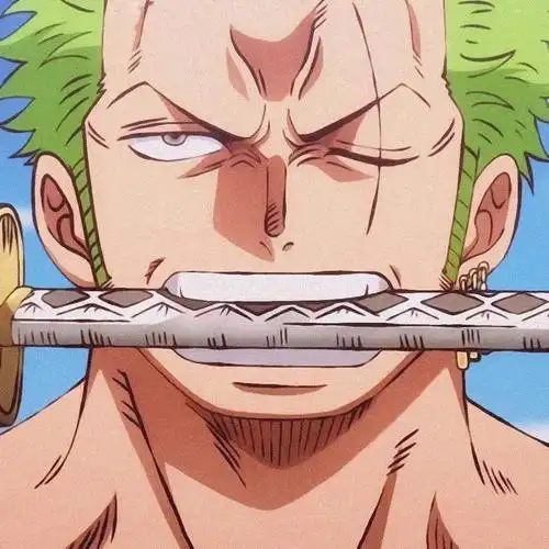 海贼王索隆头像