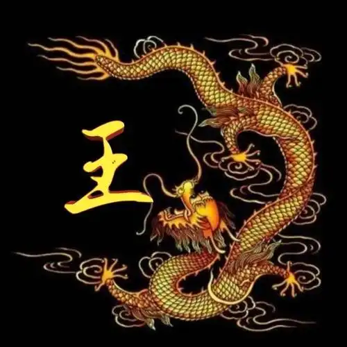 山不在高有仙则名,水不在深有龙则灵,中国龙姓氏头像