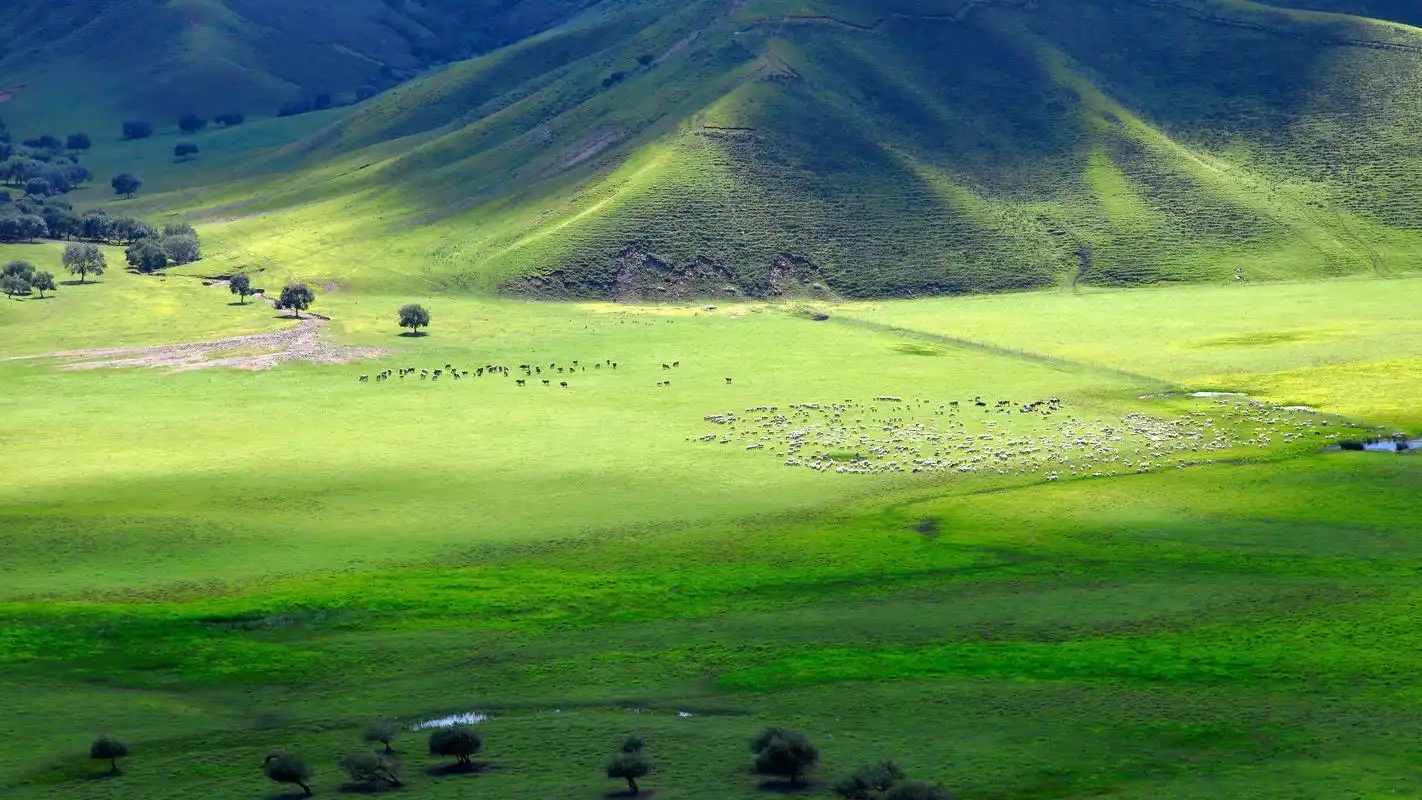一望无际的绿色草原风景电脑壁纸