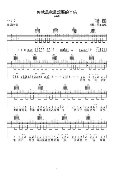 你就是我最想要的丫头—赵照c调六线吉他谱-虫虫吉他谱免费下载