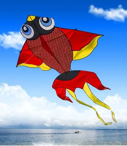 特大金鱼 2019新款潍坊风筝大型金鱼风筝 成人大风筝线轮微风易飞