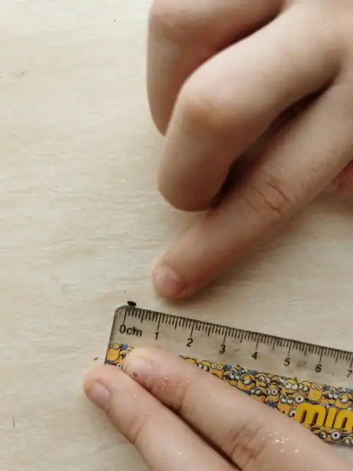 我拿出尺子量了量,一颗桔梗花小种子长度3毫米不到