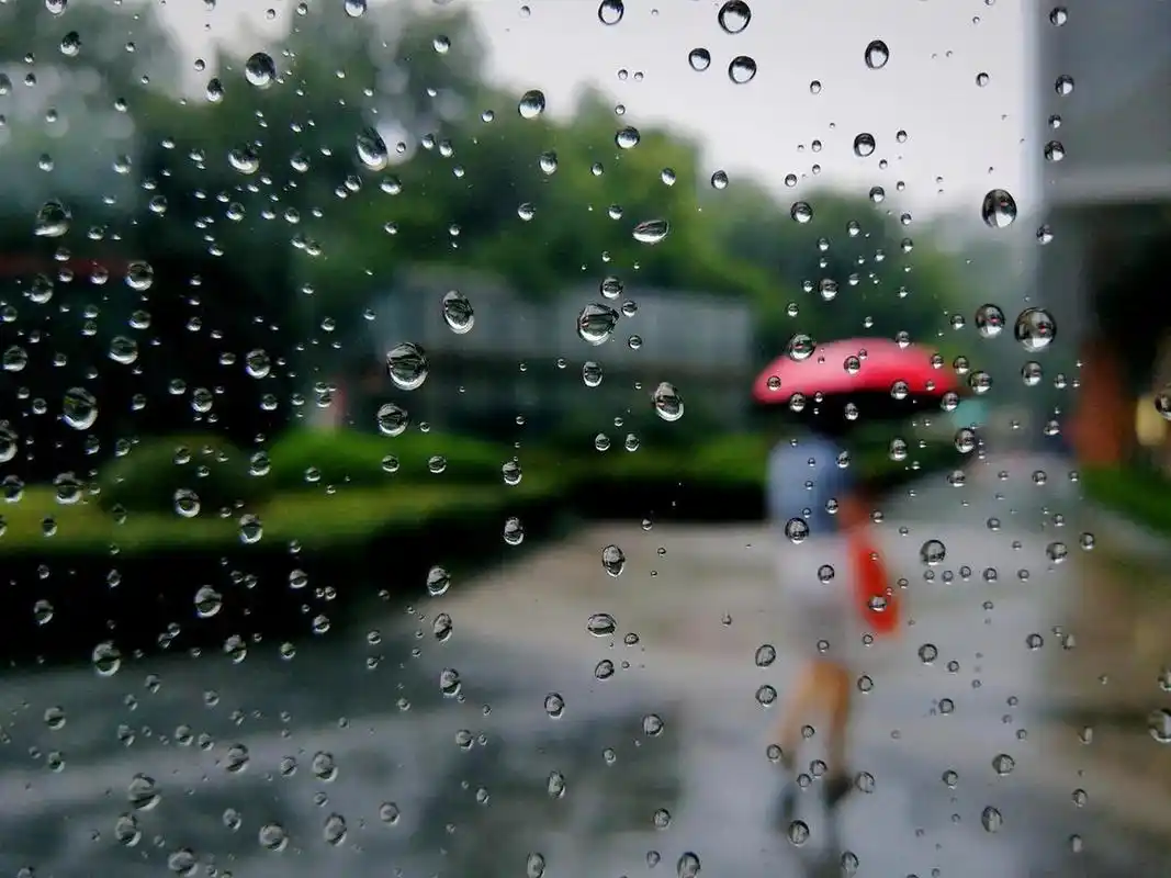 (雨中画) 雨一直下,窗外景色如画,有些人在画中奔行,有些人在画外牵挂