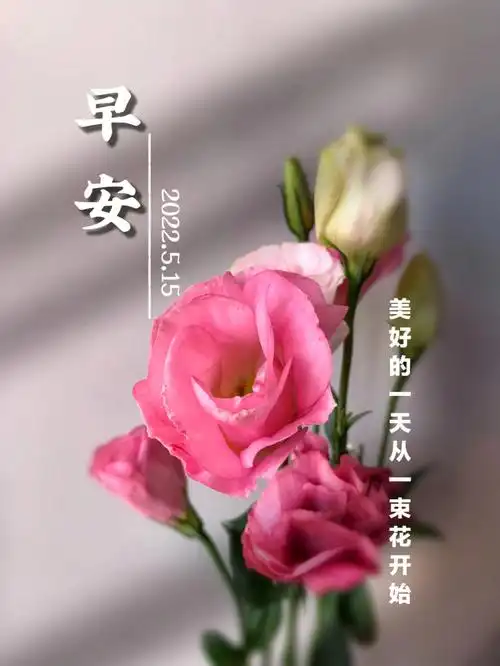 早安日签美好的一天从一束花开始
