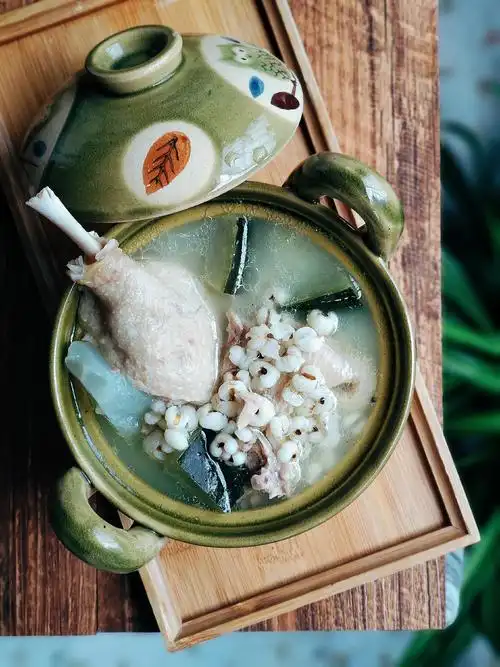 冬瓜薏米老鸭汤