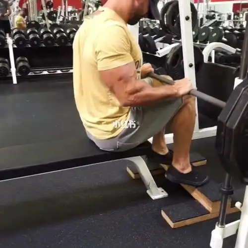 史密斯坐姿提踵