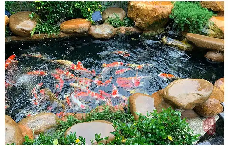 溪留锦锦鲤鱼池过滤系统案例3