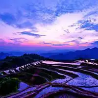 形容紫气东来的头像图片_微信头像图片大全