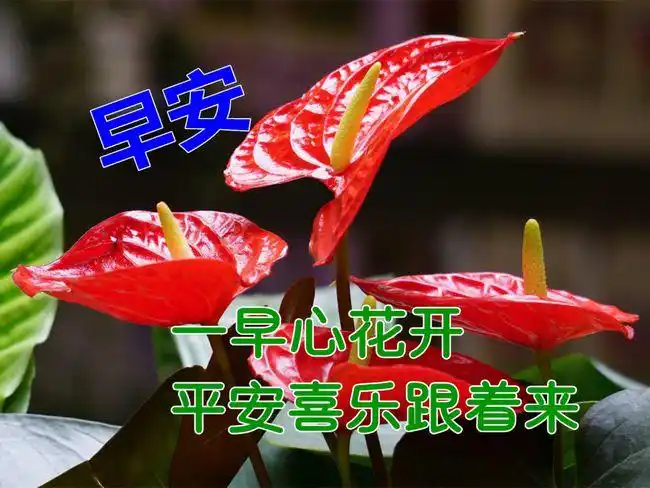 原创2021年特别温馨的免打字早上好动画表情图片好看的早安问候祝福语
