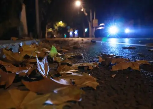 大风至,雾霾散,黄叶地,寒爽天