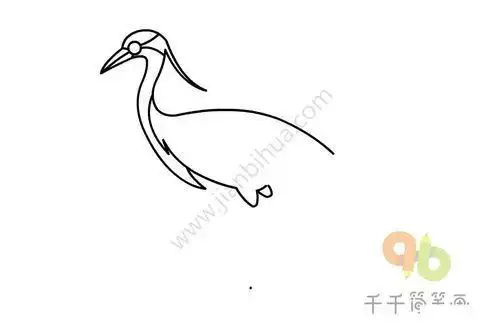 水中黑颈鹤简笔画